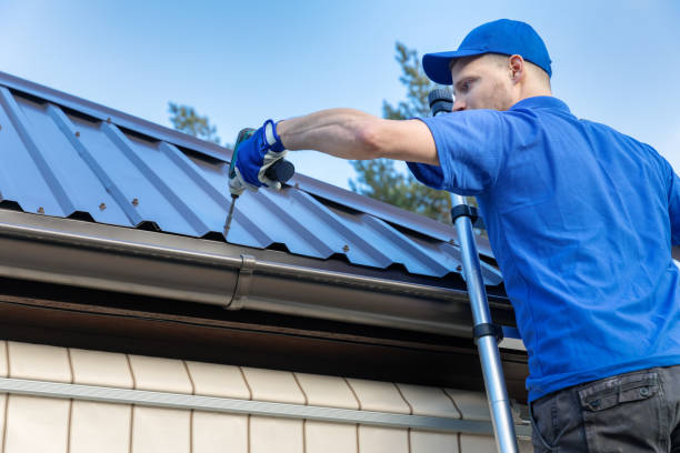 Best Skylight Installation and Repair  in Smoke Rise, AL